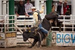 Warwick Rodeo – October each year